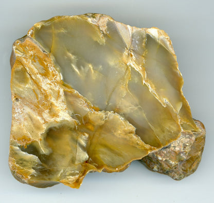 Chalcedon - Supreme Panthers