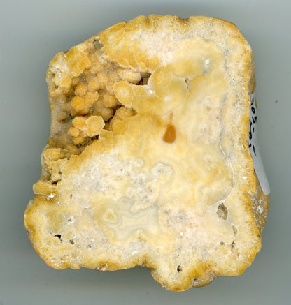 Chalcedonová geoda - Supreme Panthers