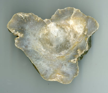 Chalcedonová geoda s ametystem - Supreme Panthers