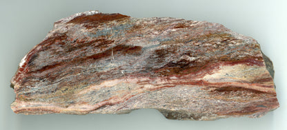 Jaspis - Supreme Panthers