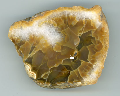 Karneolová geoda - Supreme Panthers