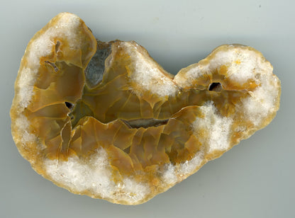 Karneolová geoda - Supreme Panthers