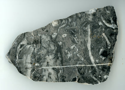 Korály - Supreme Panthers