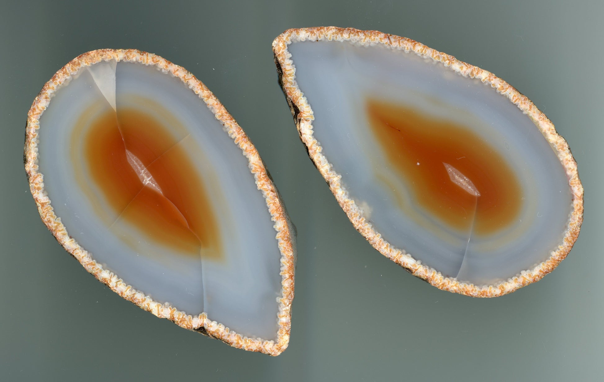 Krajkový achát, 2 ks - Supreme Panthers