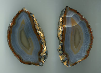 Krajkový achát, 2 ks - Supreme Panthers