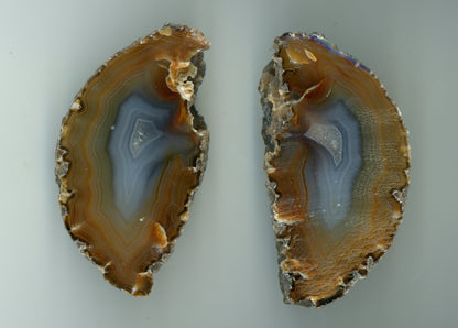 Krajkový achát, 2 ks - Supreme Panthers