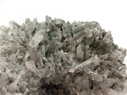 Křišťálová drúza - Supreme Panthers