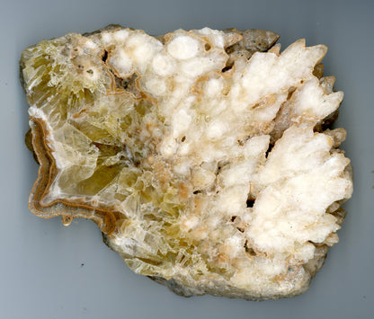 Leštěný kalcit - Supreme Panthers