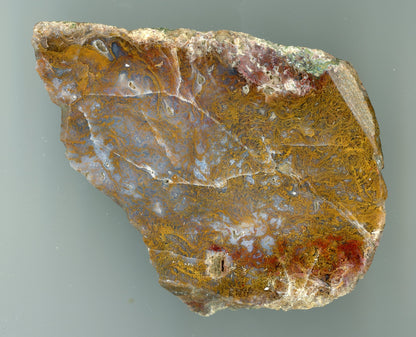 Leštěný mechový achát - Supreme Panthers