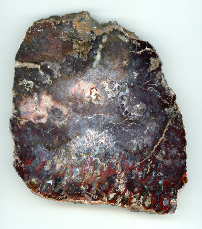 Leštěný mechový achát - Supreme Panthers