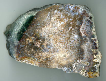 Leštěný mechový achát - Supreme Panthers