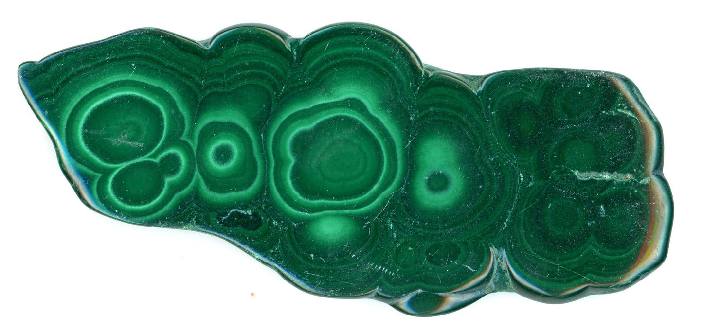 Malachit - Supreme Panthers