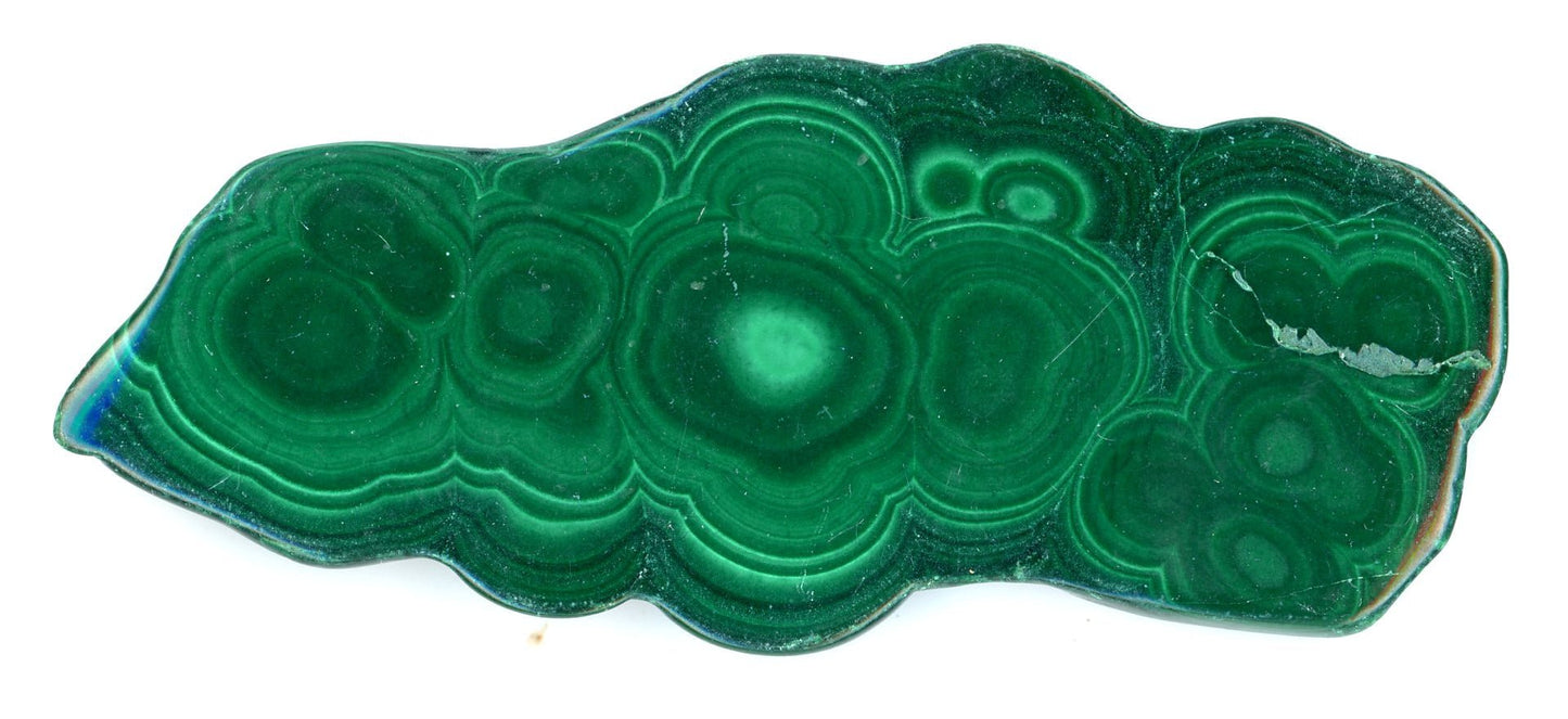 Malachit - Supreme Panthers