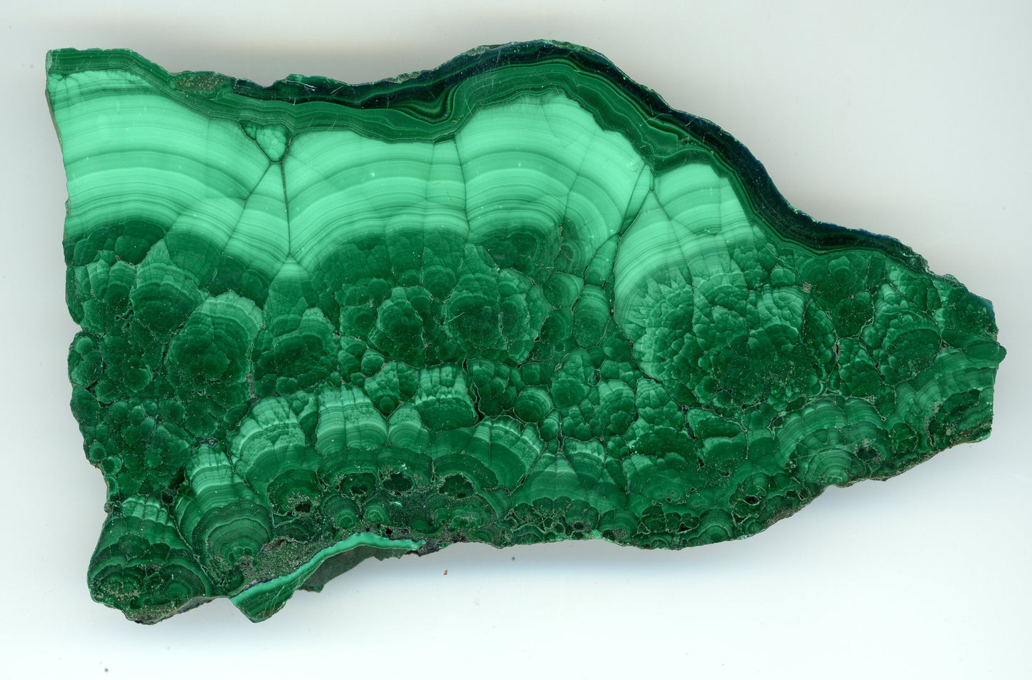 Malachit leštěný - Supreme Panthers