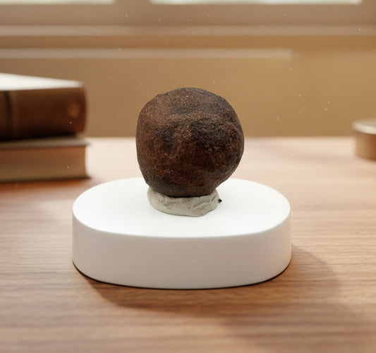 Moqui marble ball - Supreme Panthers