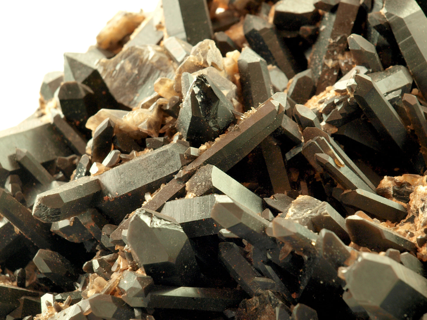 Morion - záhněda drúza - Supreme Panthers