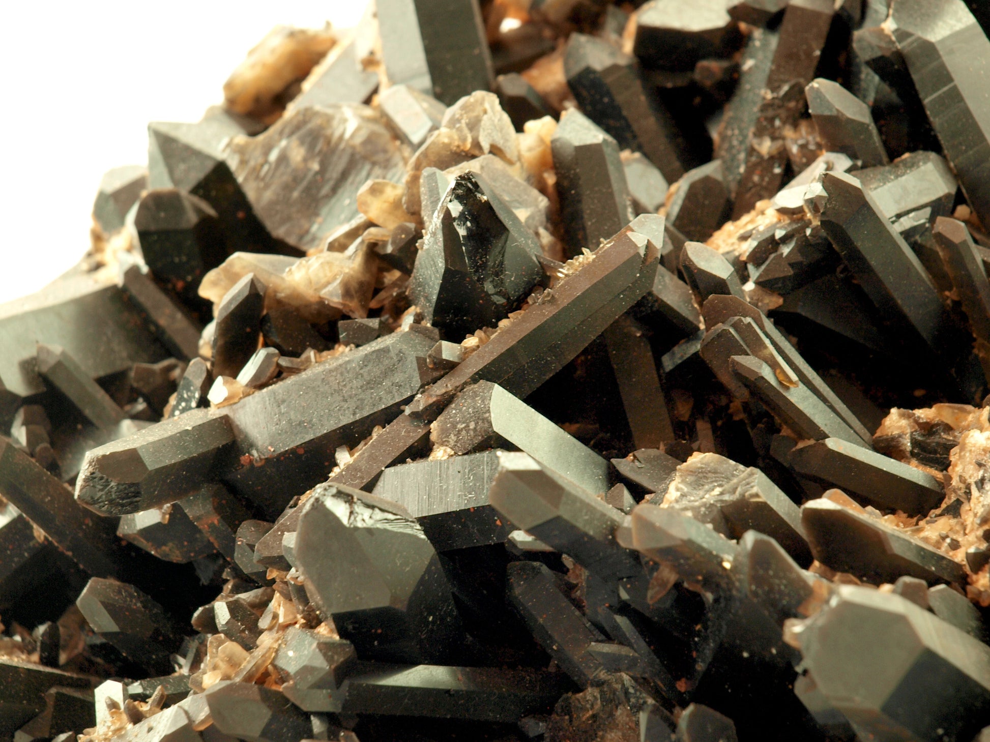 Morion - záhněda drúza - Supreme Panthers