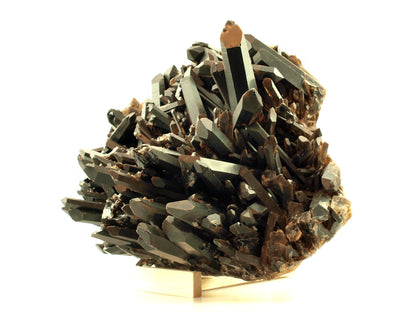 Morion - záhněda drúza - Supreme Panthers