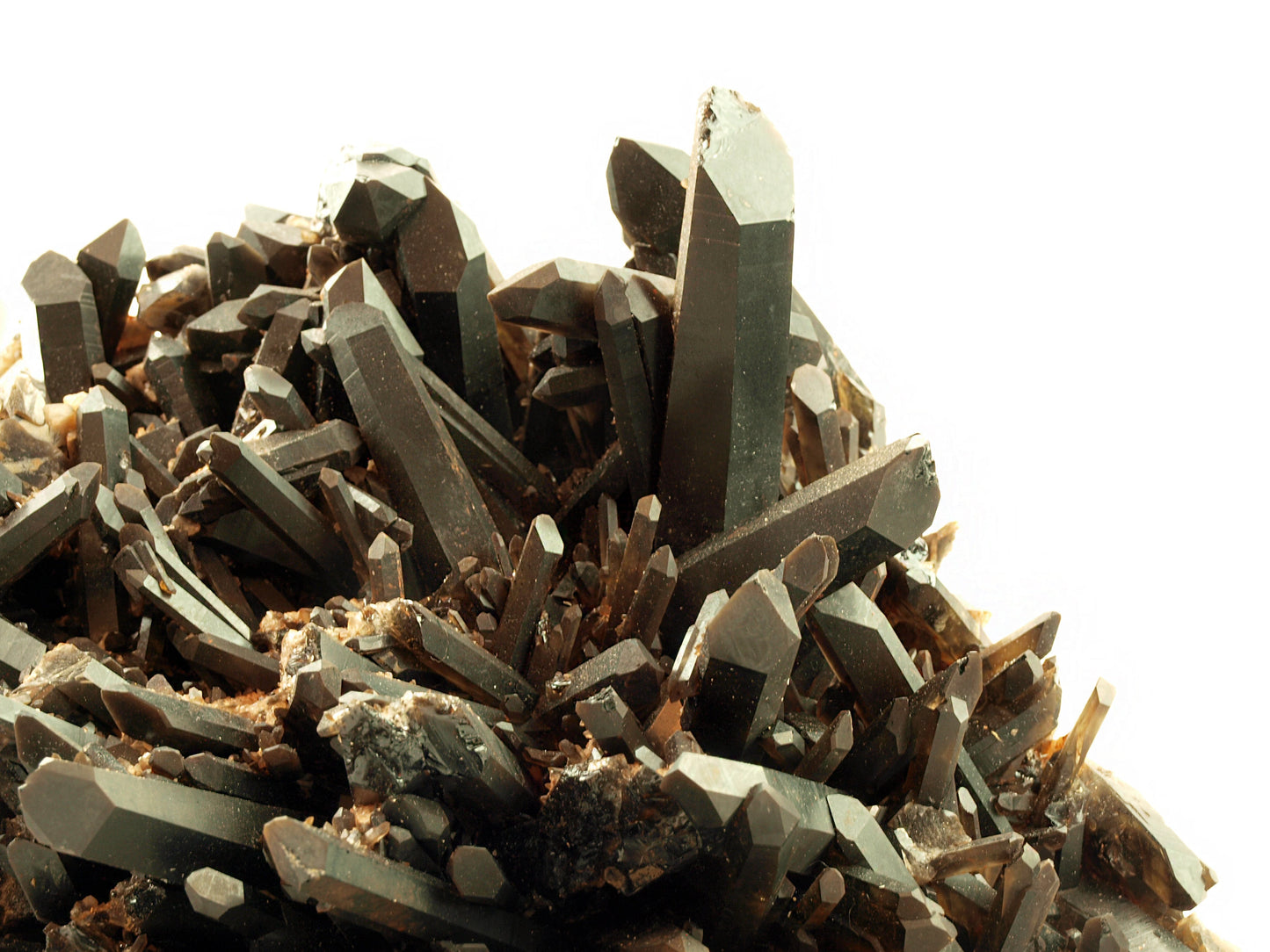 Morion - záhněda drúza - Supreme Panthers