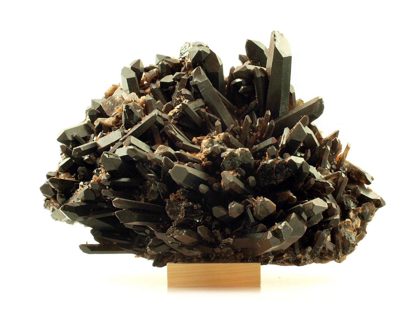 Morion - záhněda drúza - Supreme Panthers