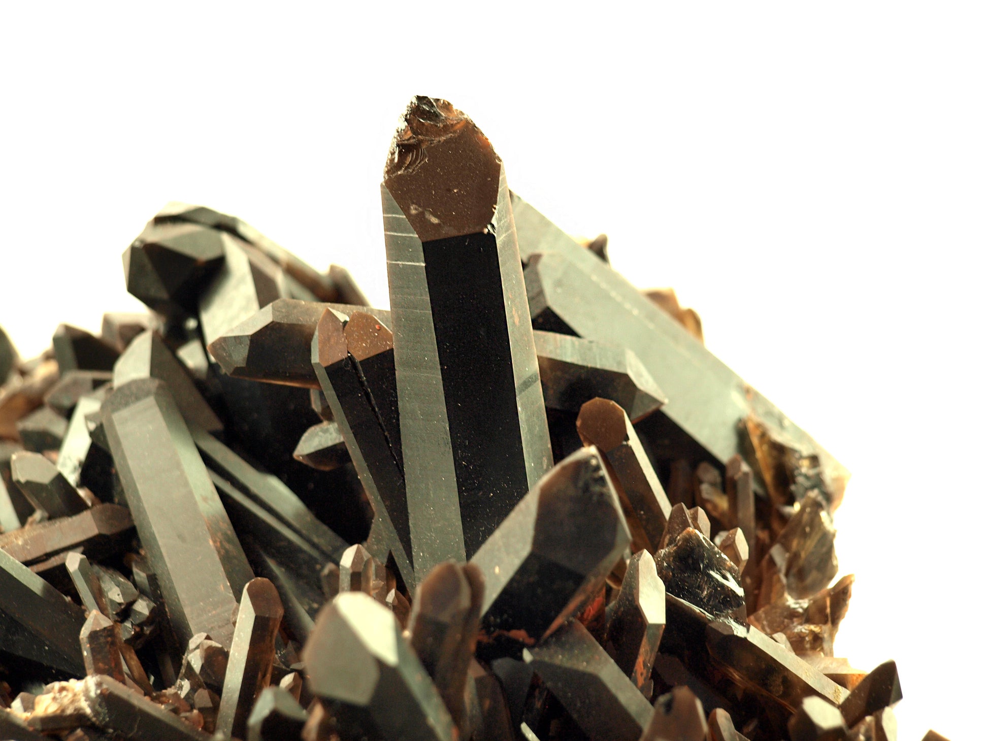 Morion - záhněda drúza - Supreme Panthers