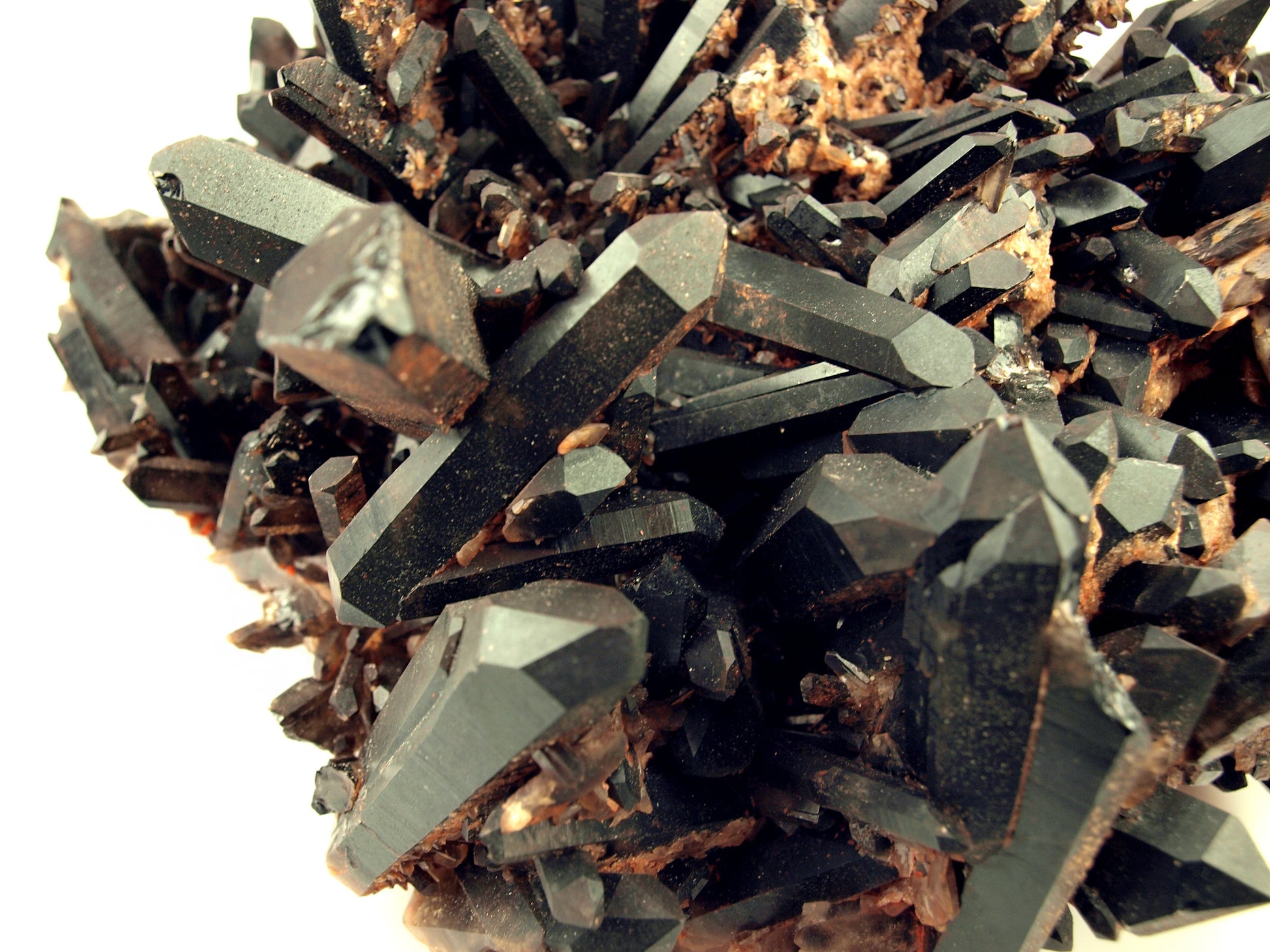 Morion - záhněda drúza - Supreme Panthers