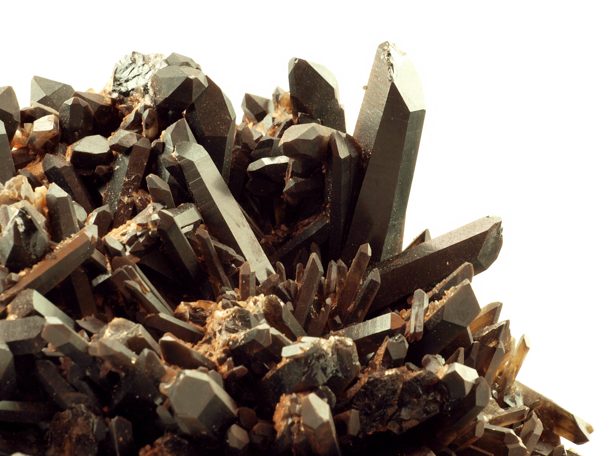 Morion - záhněda drúza - Supreme Panthers