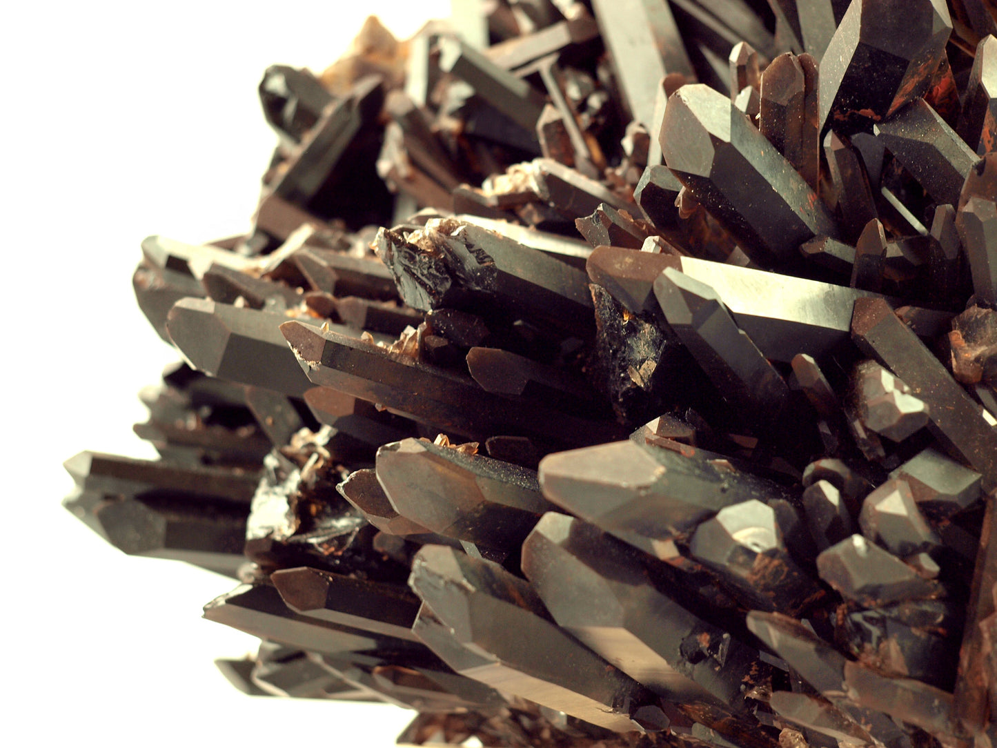 Morion - záhněda drúza - Supreme Panthers