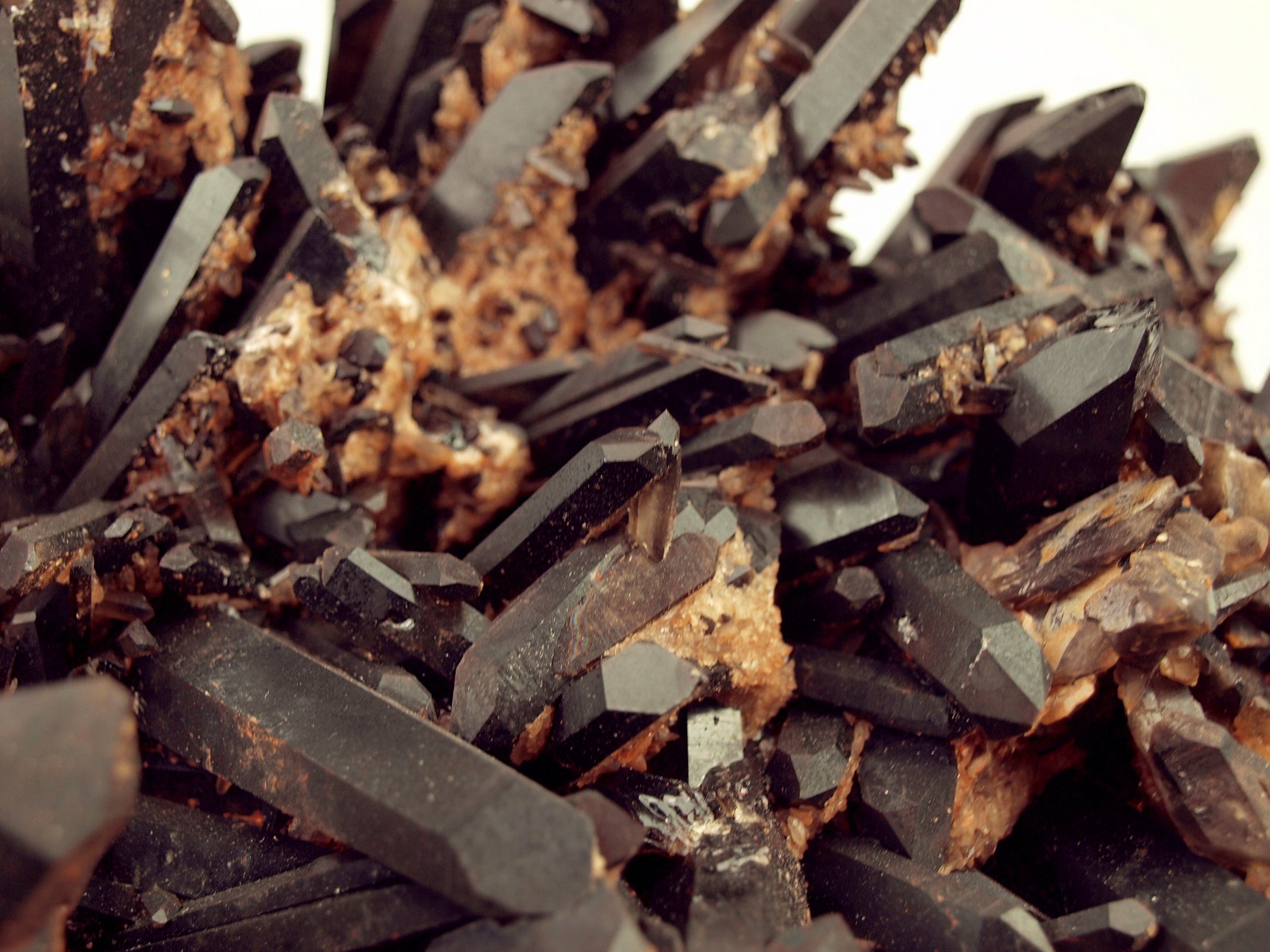 Morion - záhněda drúza - Supreme Panthers