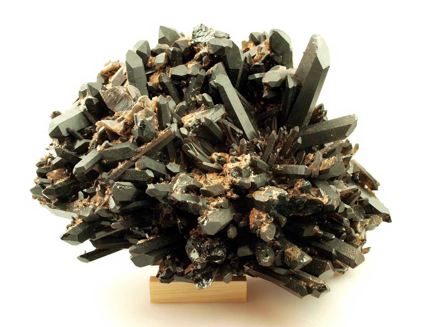 Morion - záhněda drúza - Supreme Panthers