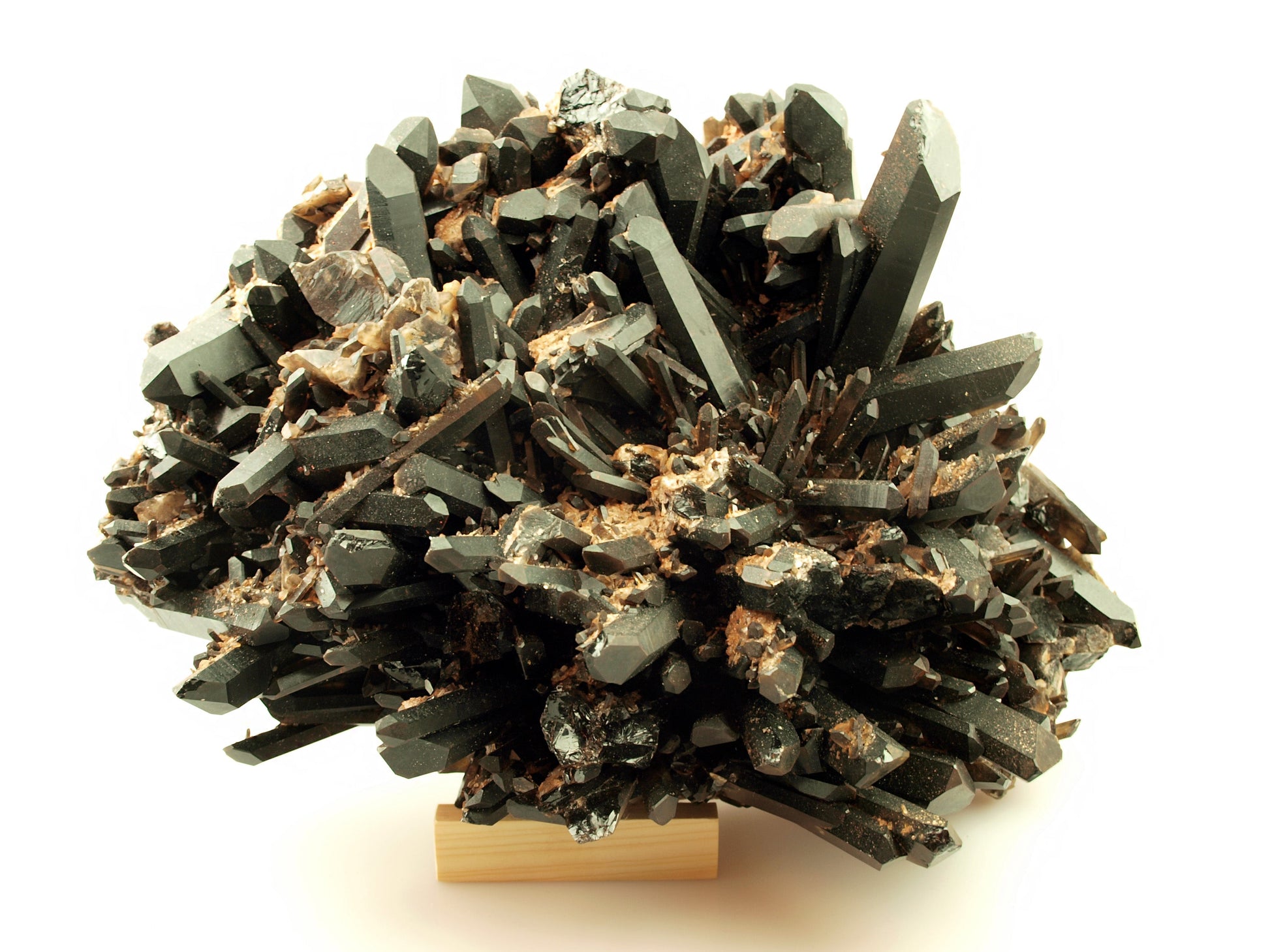 Morion - záhněda drúza - Supreme Panthers