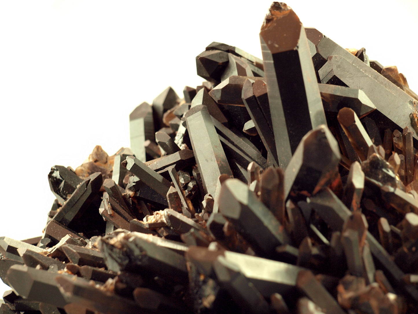 Morion - záhněda drúza - Supreme Panthers