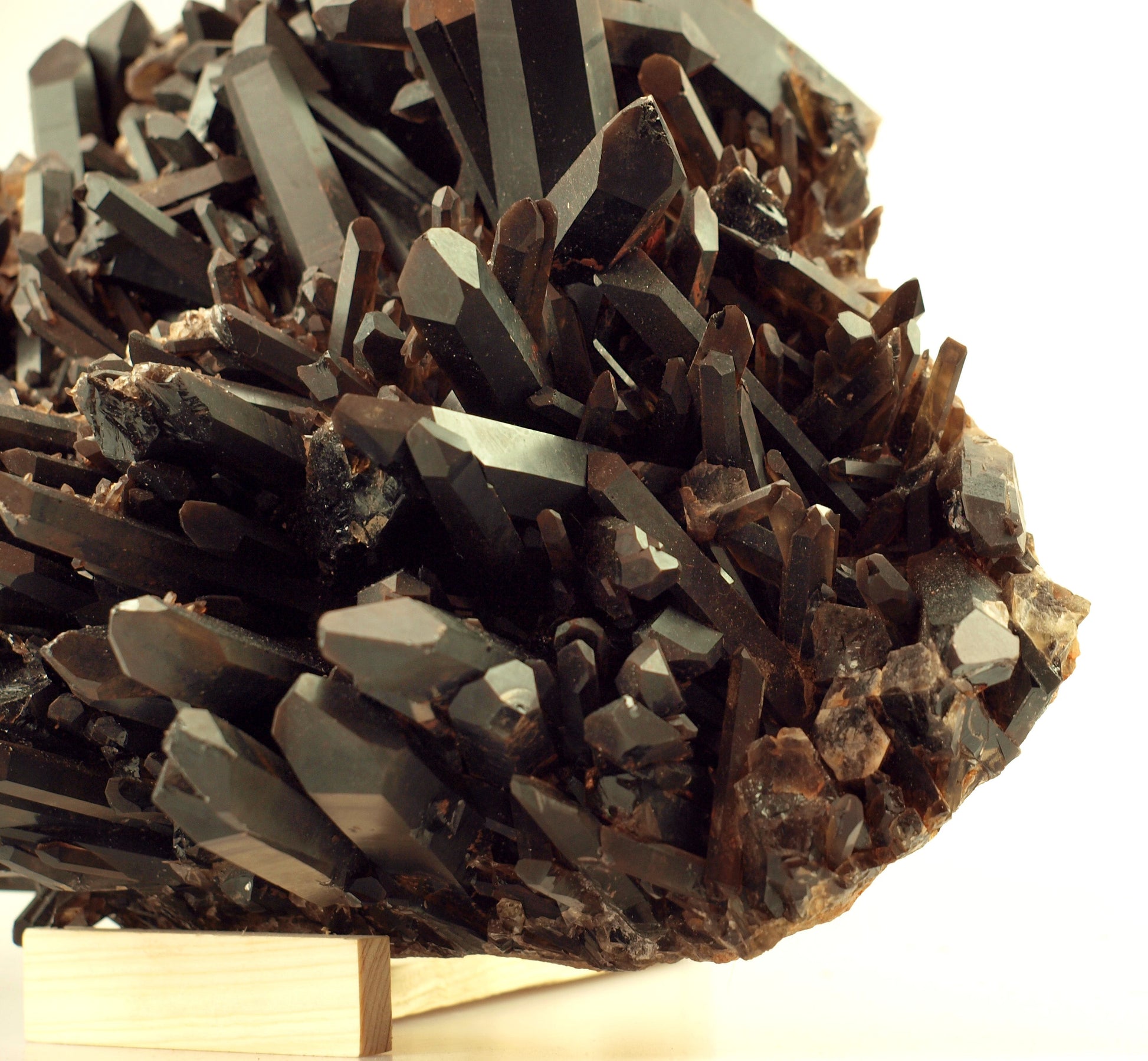 Morion - záhněda drúza - Supreme Panthers