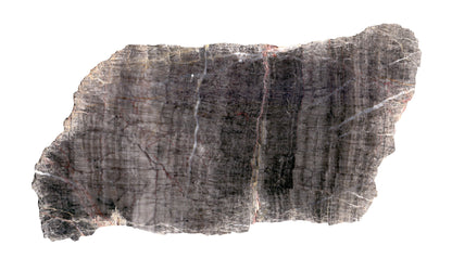 Neptunická žíla ve vilémovickém vápenci - Supreme Panthers