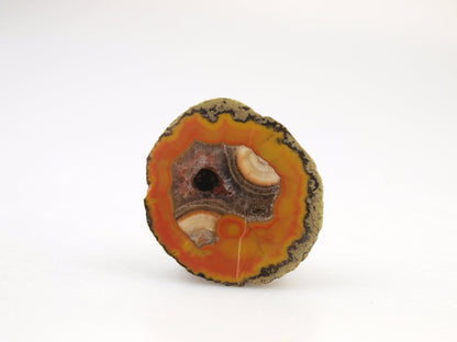 Oranžový achát - Supreme Panthers