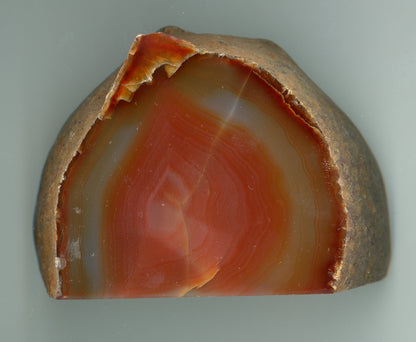 Páskovaný achát - Supreme Panthers