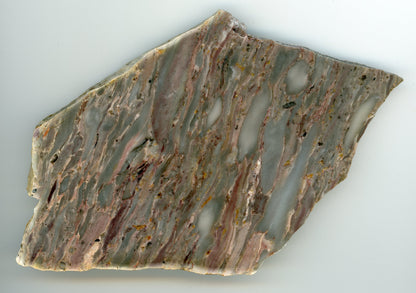 Růžový vápenec se zkamenělinami - Supreme Panthers