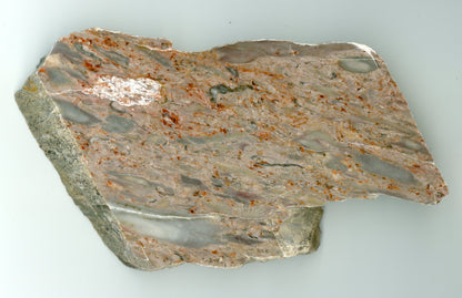 Růžový vápenec se zkamenělinami - Supreme Panthers