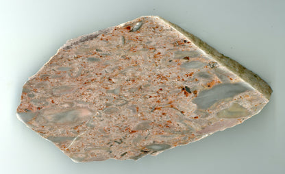 Růžový vápenec se zkamenělinami - Supreme Panthers