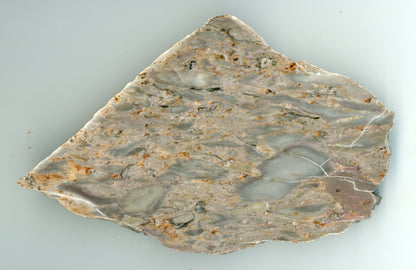 Růžový vápenec se zkamenělinami - Supreme Panthers