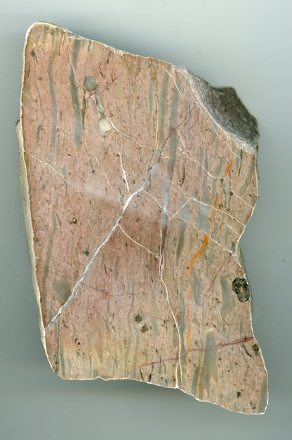 Růžový vápenec se zkamenělinami - Supreme Panthers