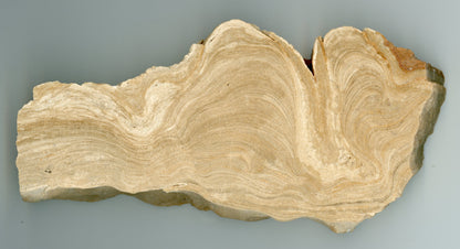 Sintr, leštěný plátek - Supreme Panthers