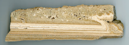 Sintr, leštěný plátek - Supreme Panthers