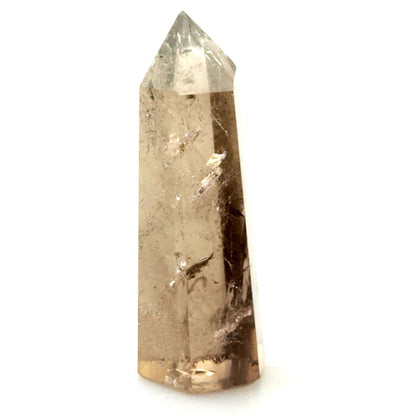 Špička záhněda - Supreme Panthers