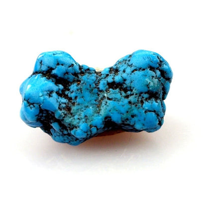 Tyrkys - Supreme Panthers