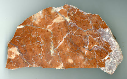 Vápenec hlíznatý s lilijicemi - Supreme Panthers