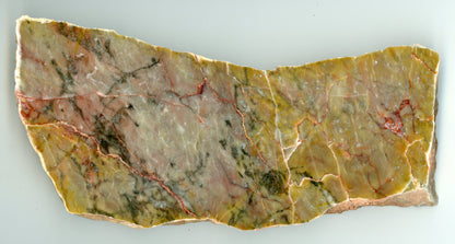 Vápenec s neptunickou žilou - Supreme Panthers