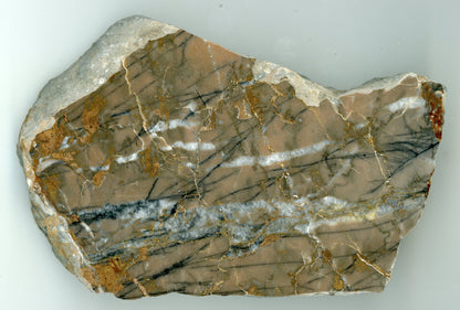 Vápenec s neptunickou žílou - Supreme Panthers