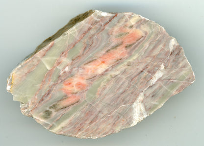 Vavřinecký vápenec - Supreme Panthers